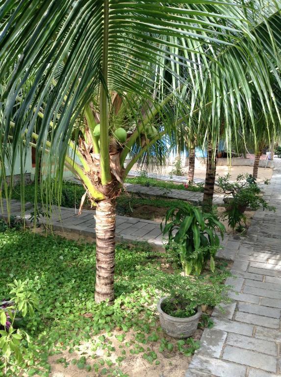 Cocosand Hotel Фан Тиет Екстериор снимка